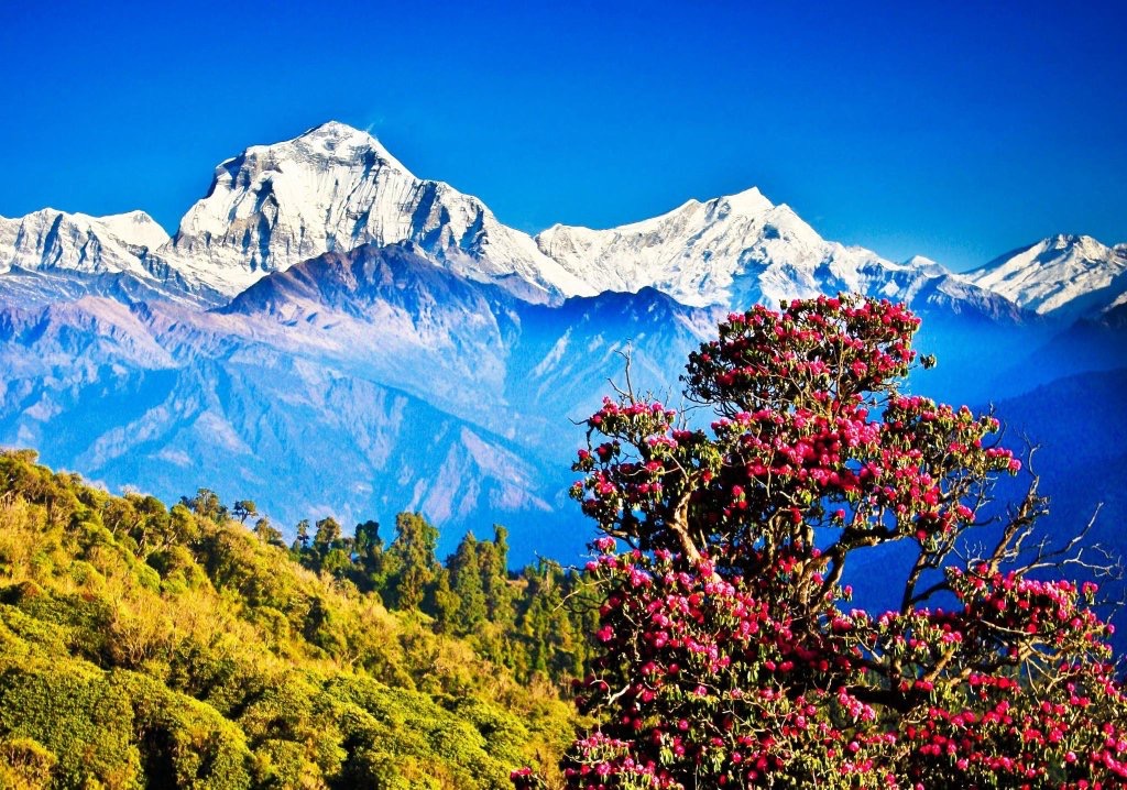 13-photos-of-nepal-that-will-take-your-breath-youramazingplaces